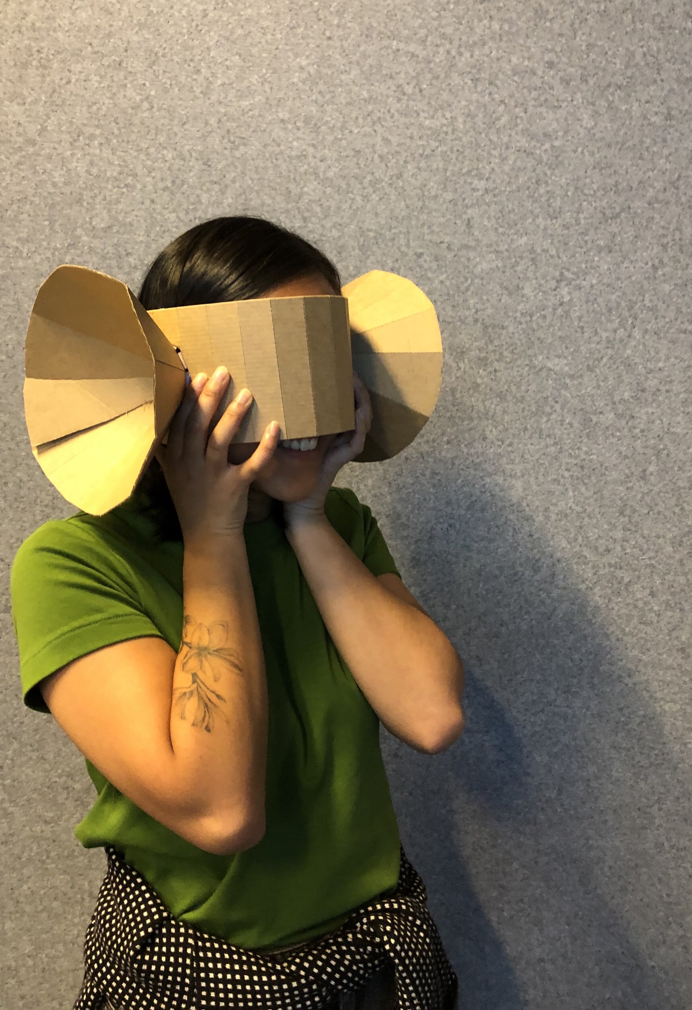 Amplifying the senses- 1 hour in class response Week 3