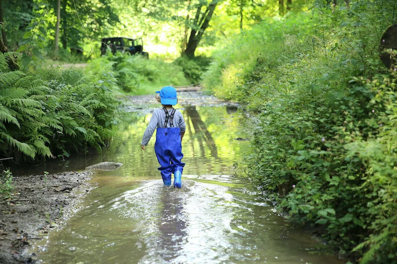 Kinder in der Waldgruppe in Düsseldorf
