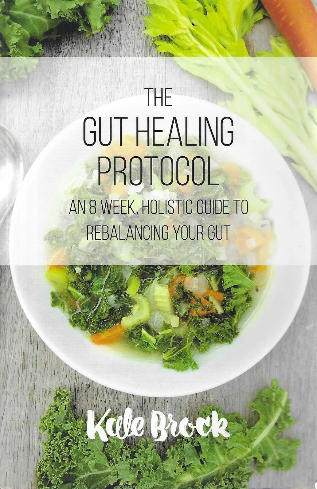 The Gut Healing Protocol