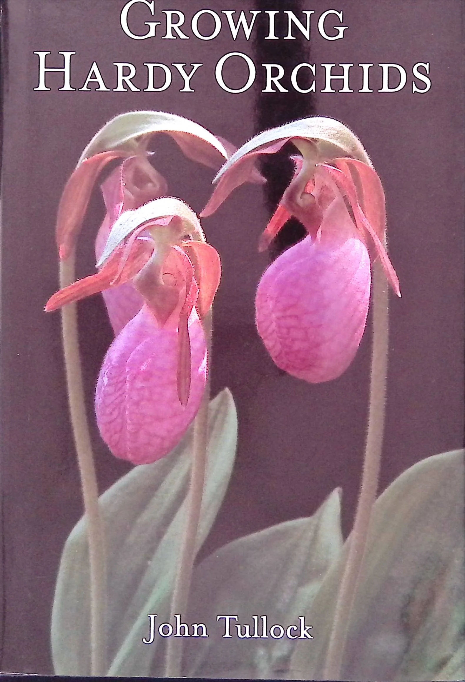Growing Hardy Orchids