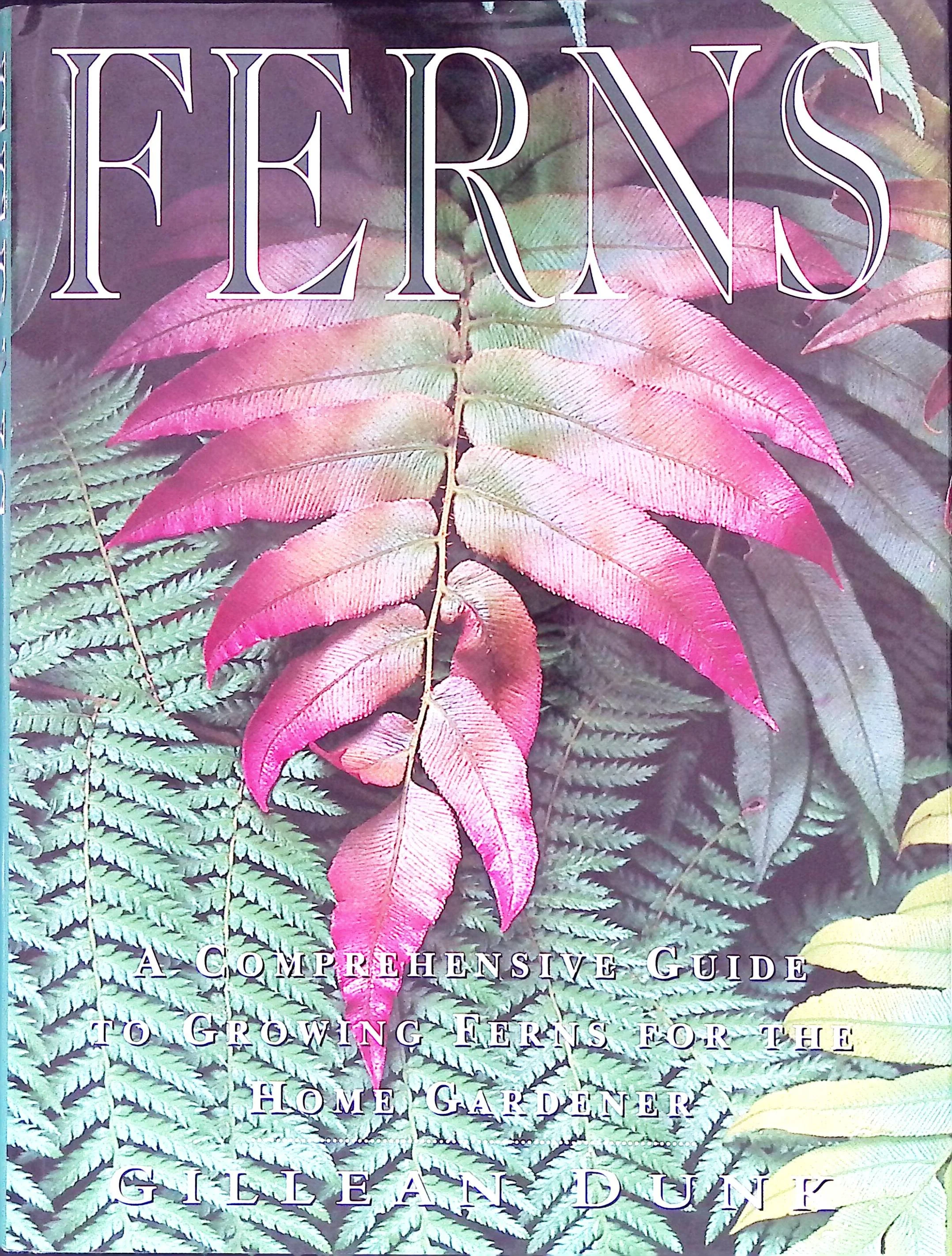 Ferns