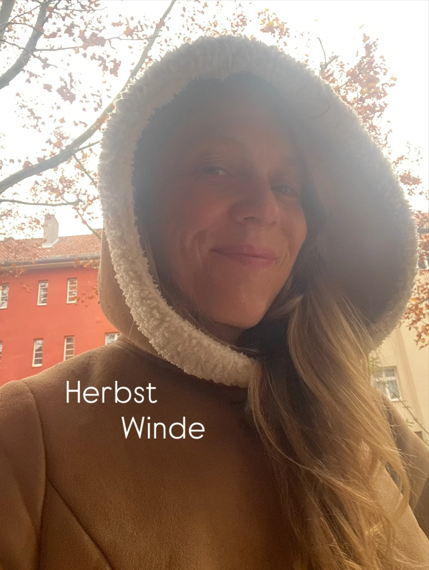 Windrichtung &ndash;
Ein Rausch &uuml;ber Herbstst&uuml;rme und die Berufung zum Schreiben. 

Link in Bio!

#neustart #lektorat #autorin #zweifel #ideen #schreiben #berufung