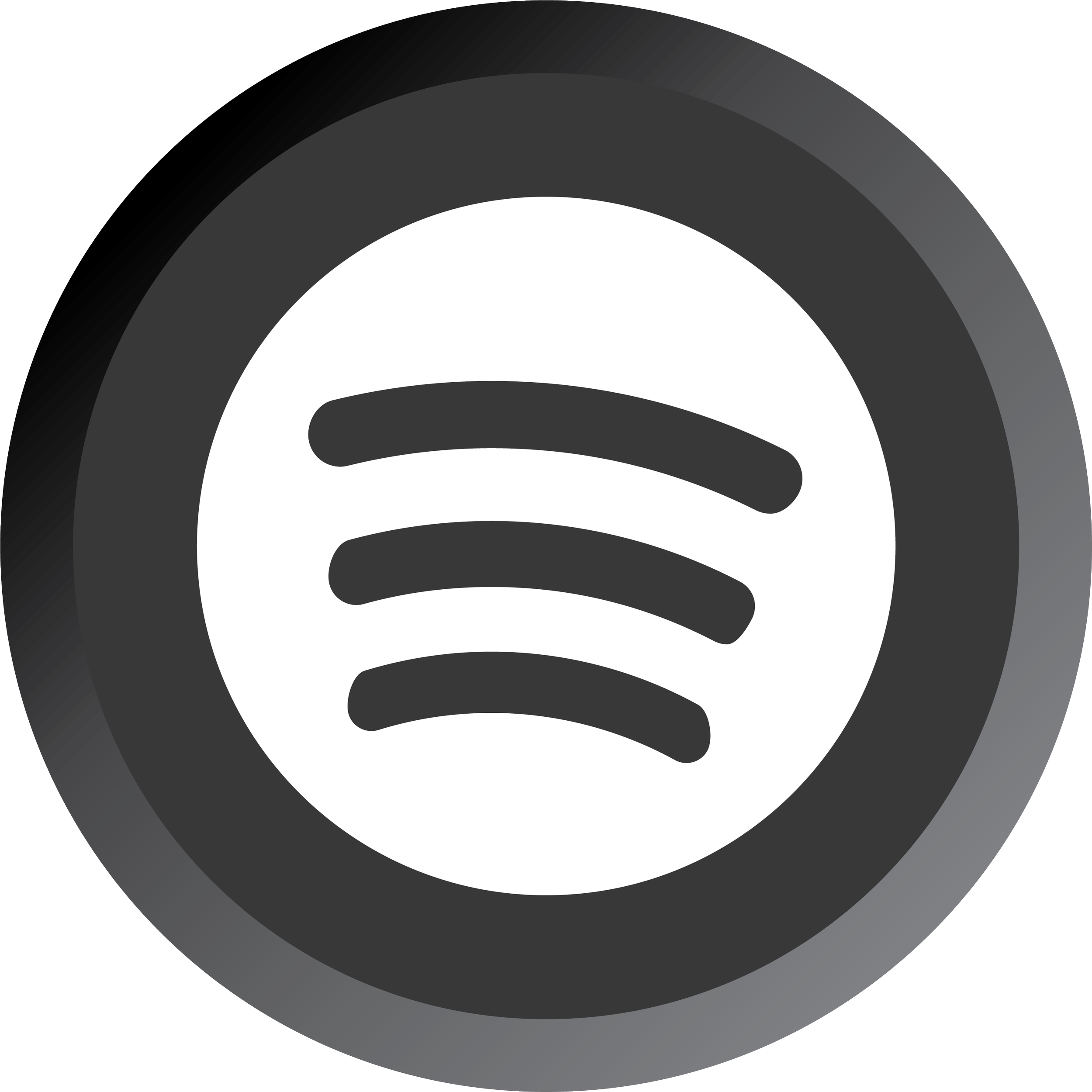 Black and white logo of Spotify with a circular border and three curved lines inside representing sound waves.
