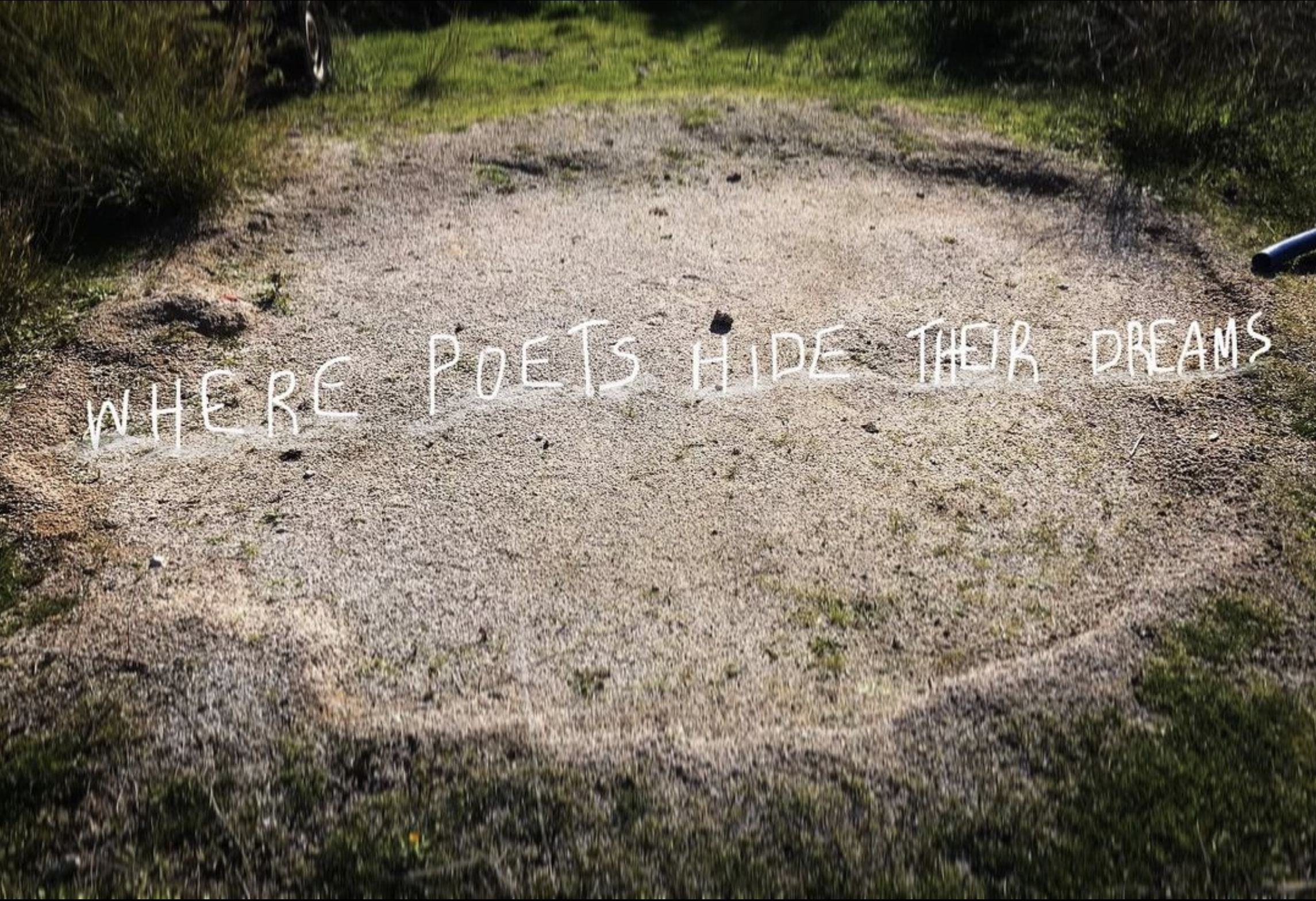 Site-Postscripts: XIX (where poets hide their dreams)

©2022 Bill Psarras