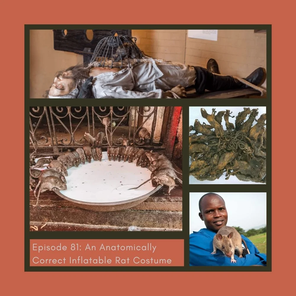 An Anatomically Correct Inflatable Rat Costume — You're Gonna Die Out There