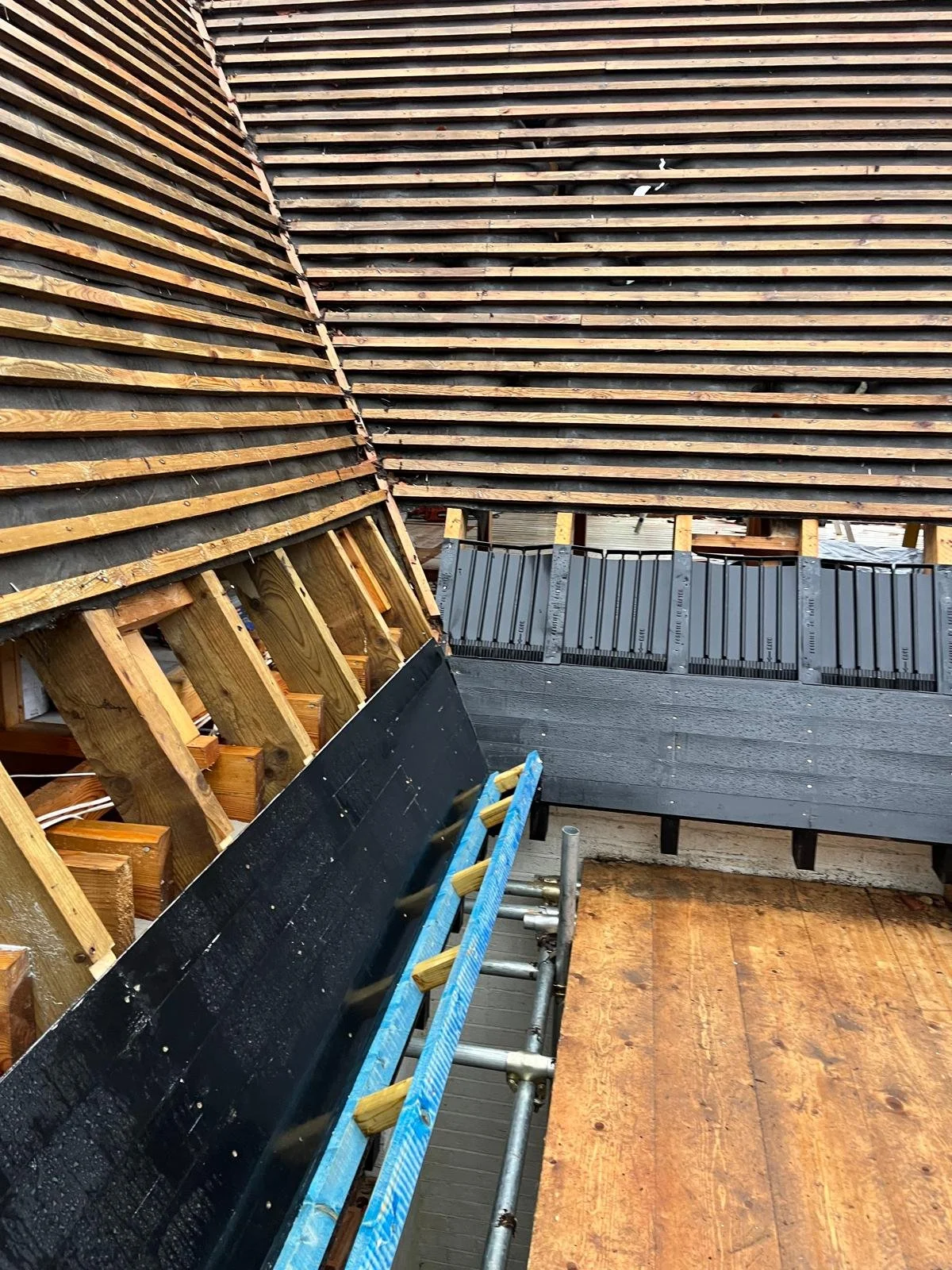 WhatsApp Image 2026-03-30 at 16.46.46 (1).jpeg