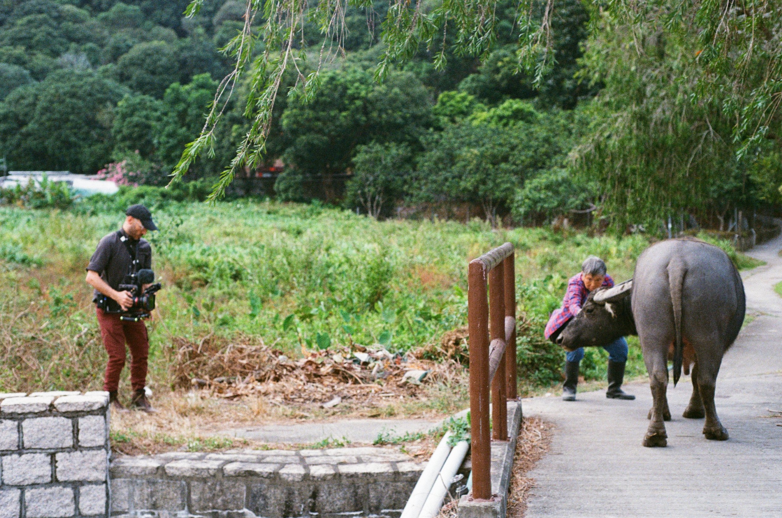 Mother of Buffalo BTS - Loes van Iperen 2.jpg