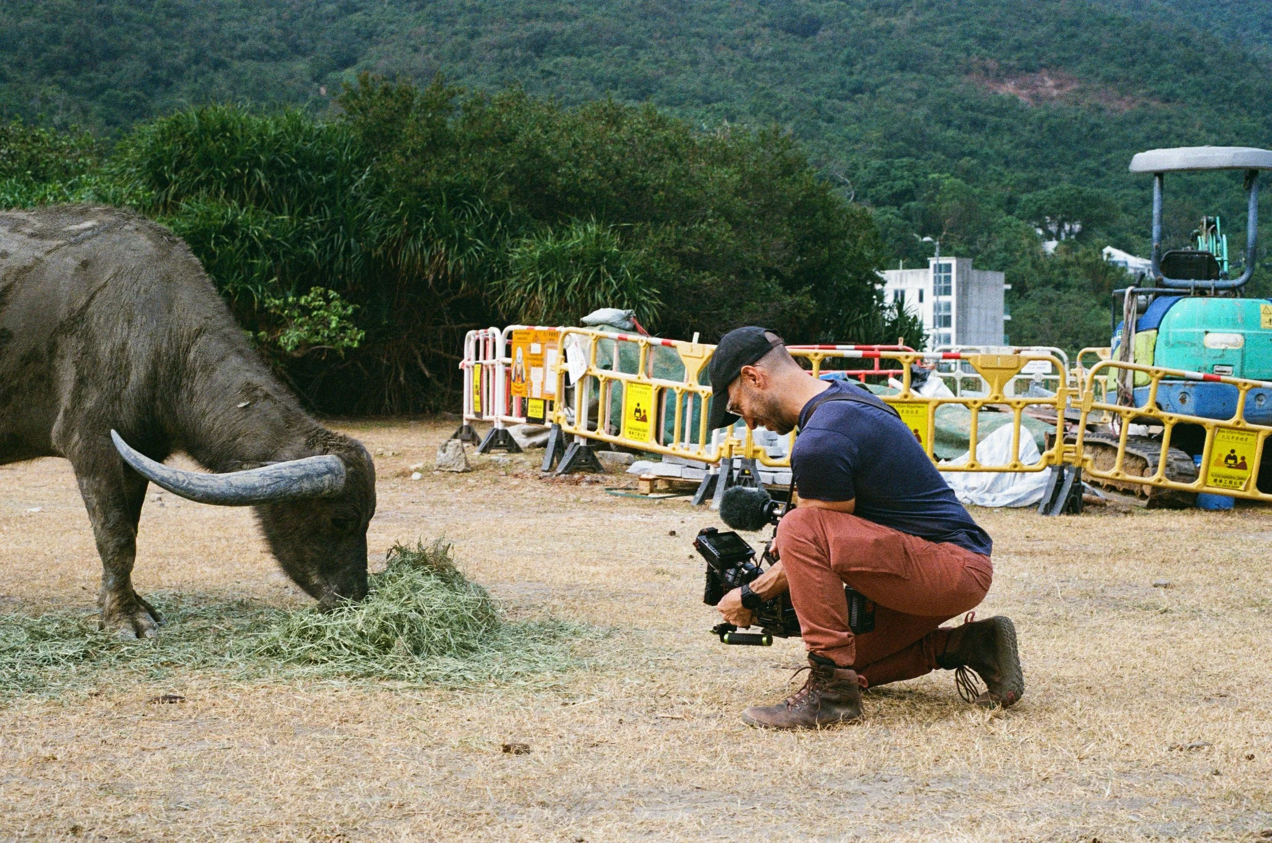 Mother of Buffalo BTS - Loes van Iperen 3.jpg
