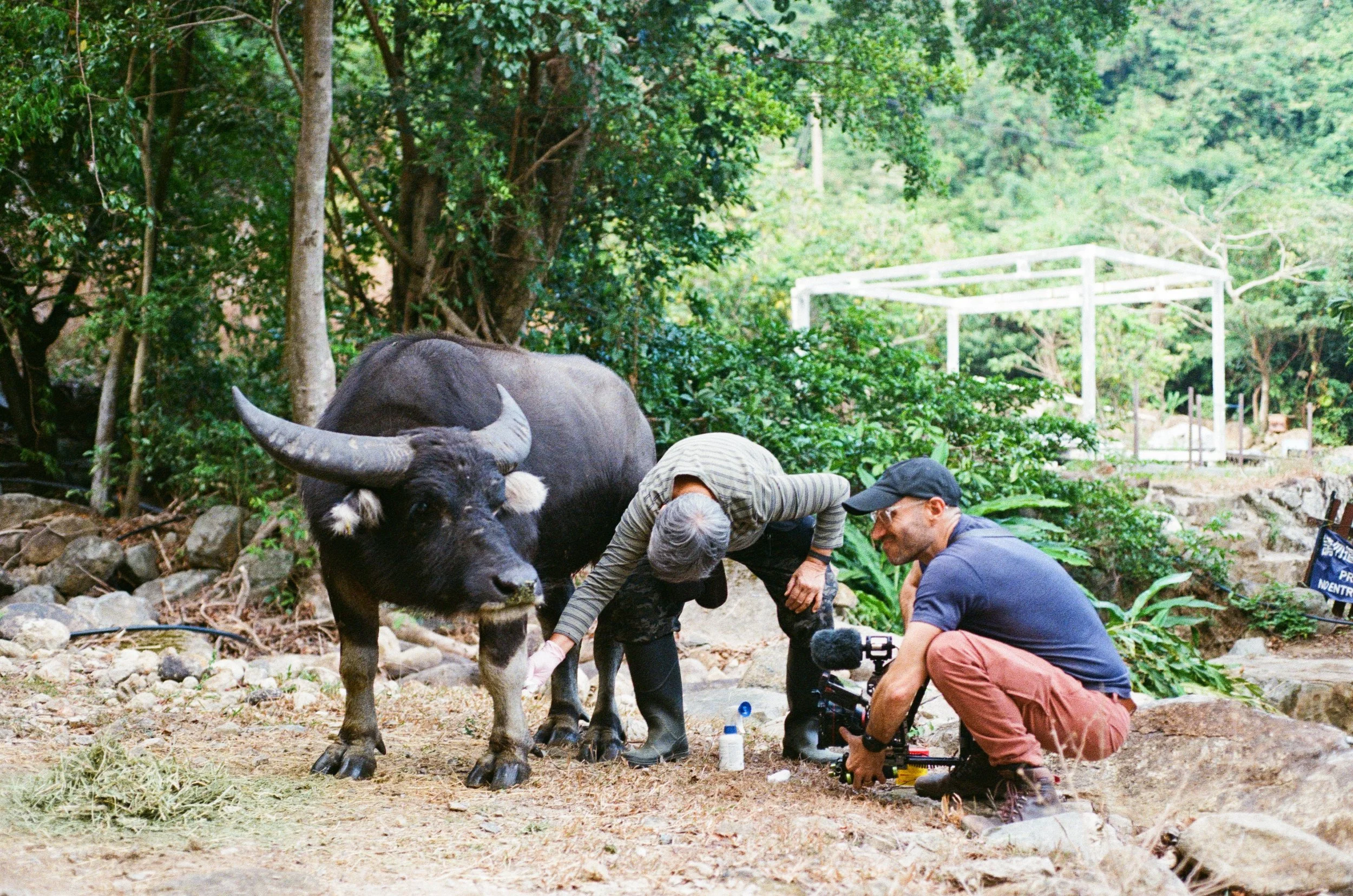 Mother of Buffalo BTS - Loes van Iperen 7.jpg