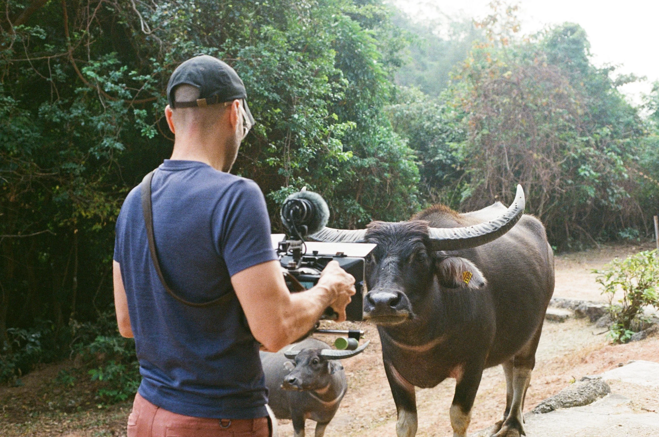 Mother of Buffalo BTS - Loes van Iperen 18.jpg