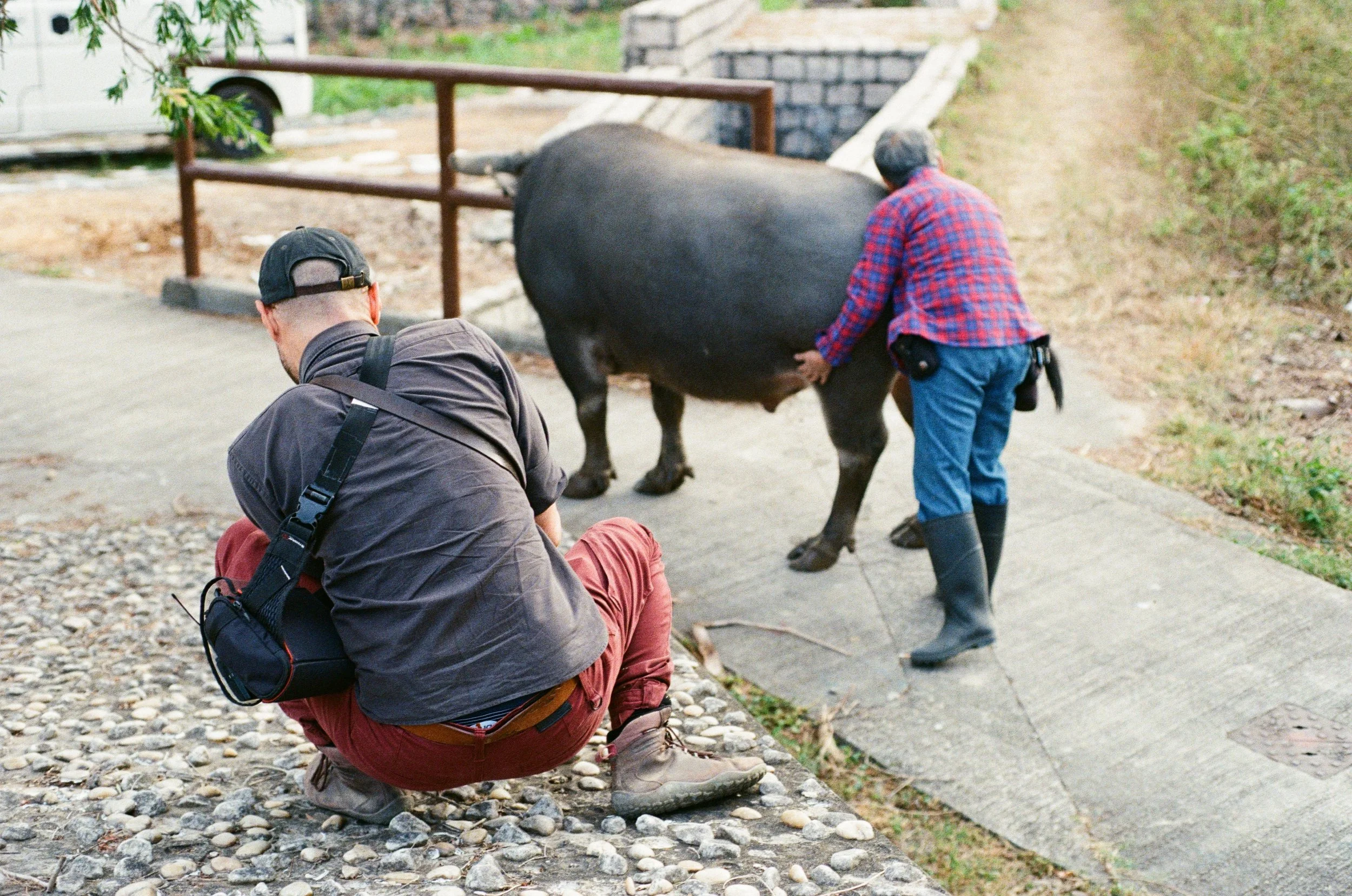 Mother of Buffalo BTS - Loes van Iperen 22.jpg