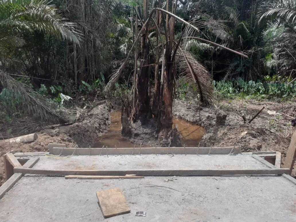  Old growth waits for removal to deepen and clear the channel for the new river. 