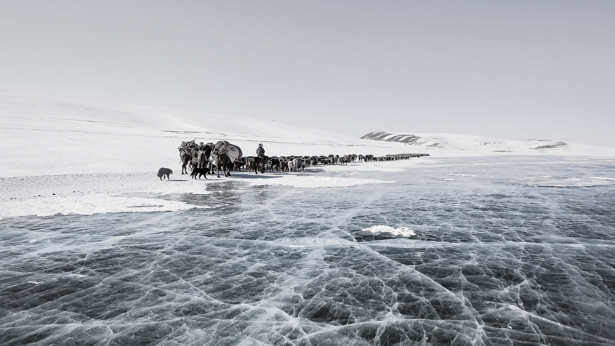 ice lake in mongolia, Fine Art Print, Martin Vogt