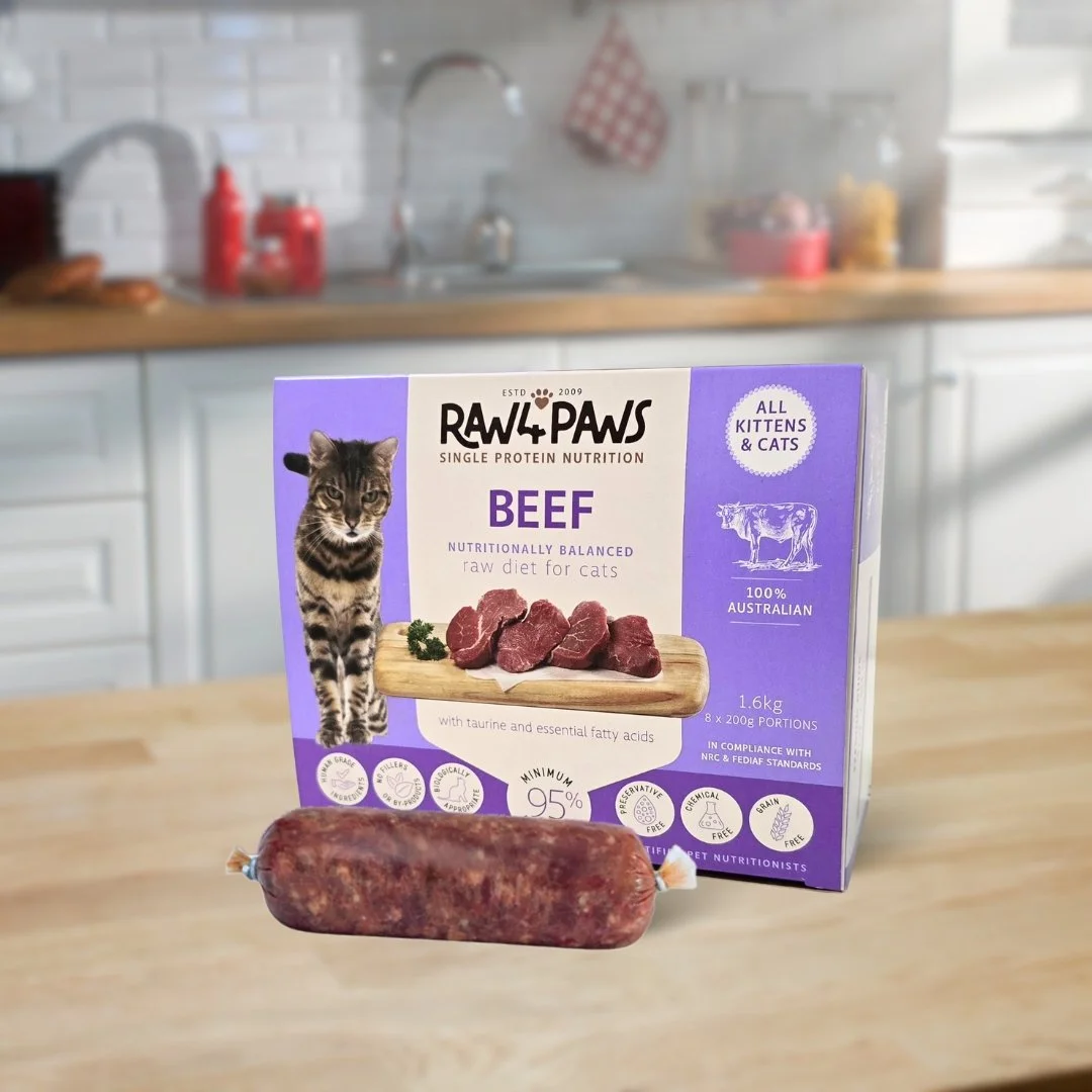 Raw 4 Paws Beef Carton for CATS 1.6kg (8 x 200g portions)