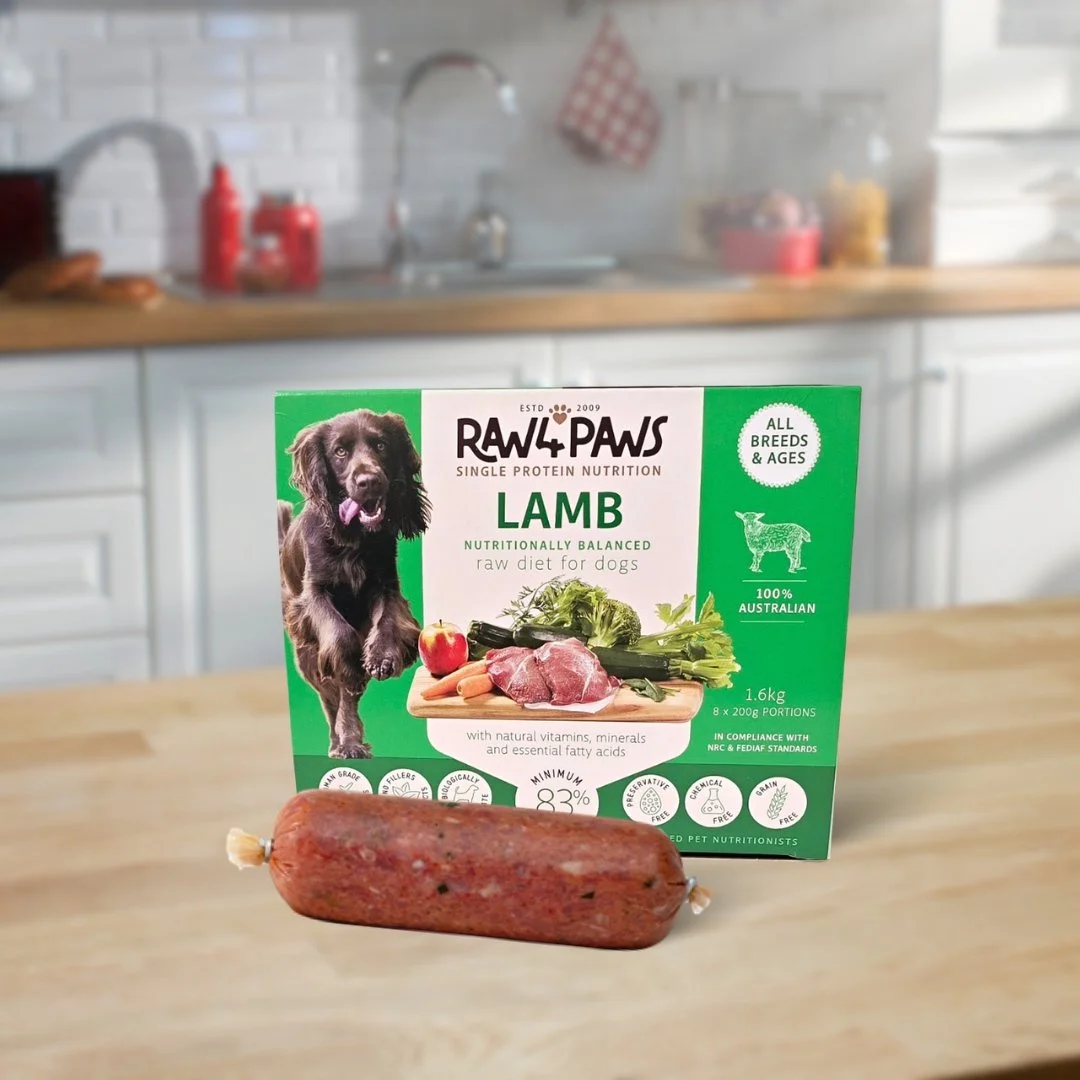 Raw 4 Paws Lamb Carton 1.6kg (8 x 200g portions)