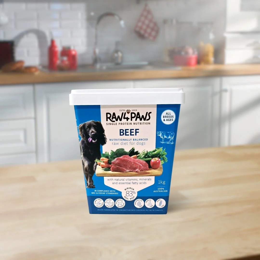 Raw 4 Paws Beef Container 1kg
