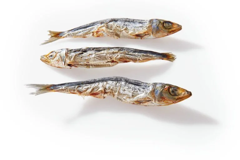 Clear Dog Pilchards 100g