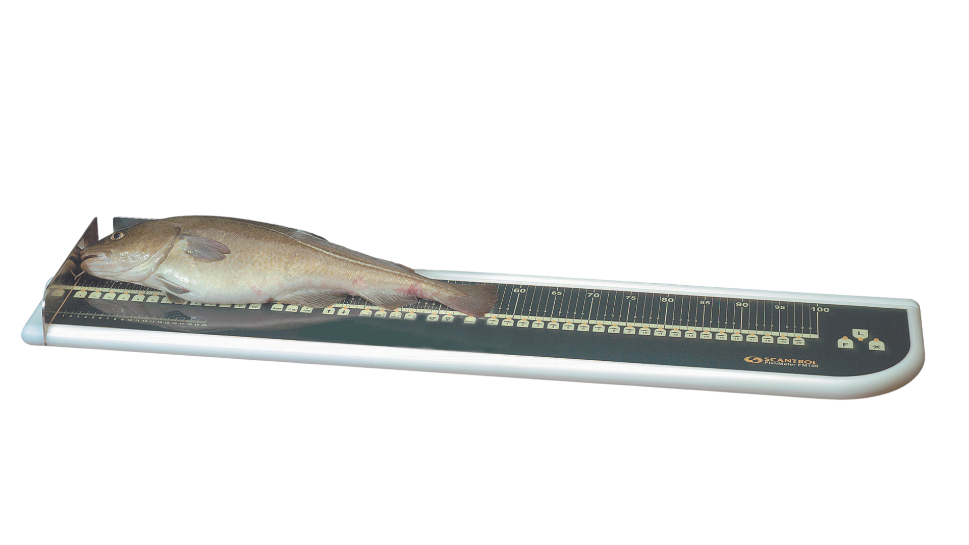 Fish Meter Digital Sampling Board — Deep Vision
