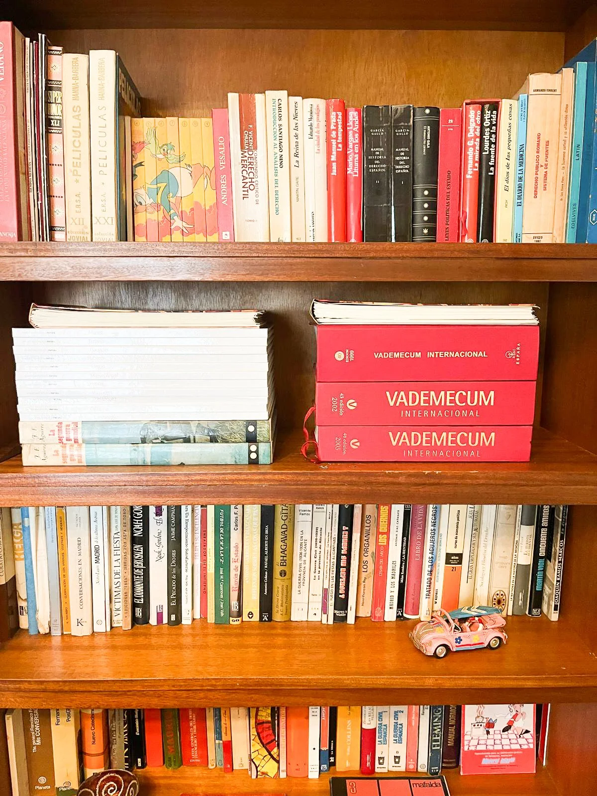 PHOTO-2026-01-26-10-39-20 4.jpg