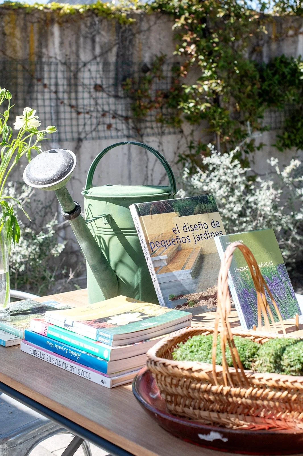 PHOTO-2026-04-02-11-44-07 19.jpg