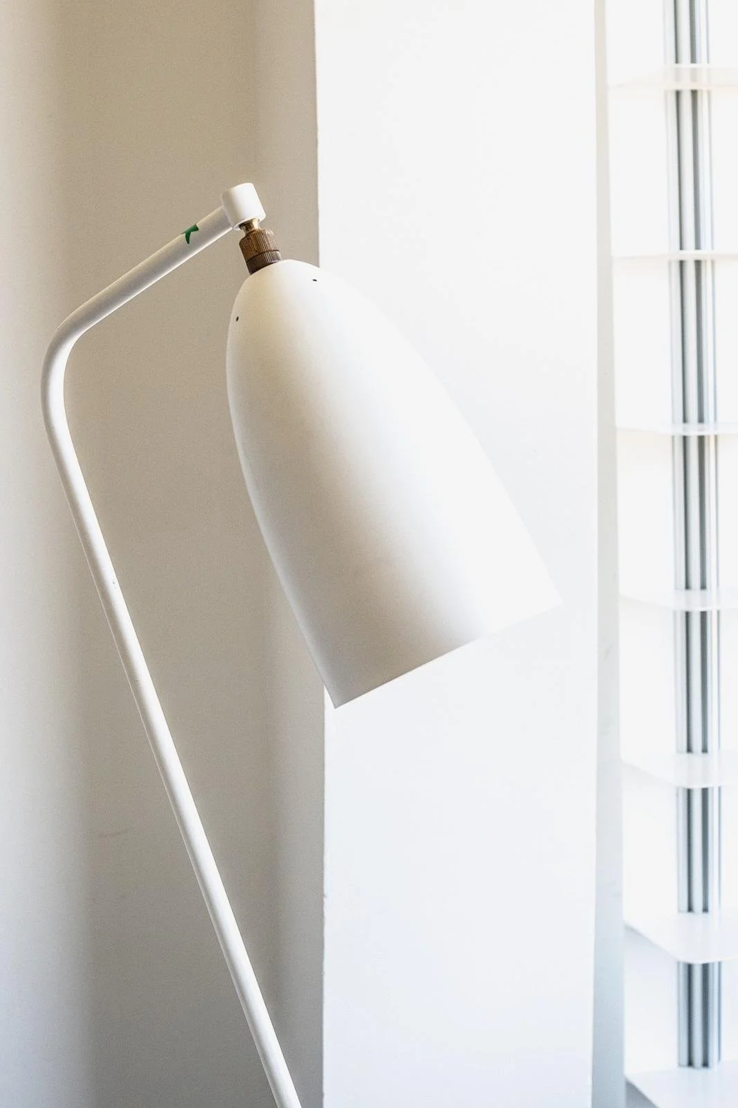 PHOTO-2026-04-02-11-44-09 6.jpg