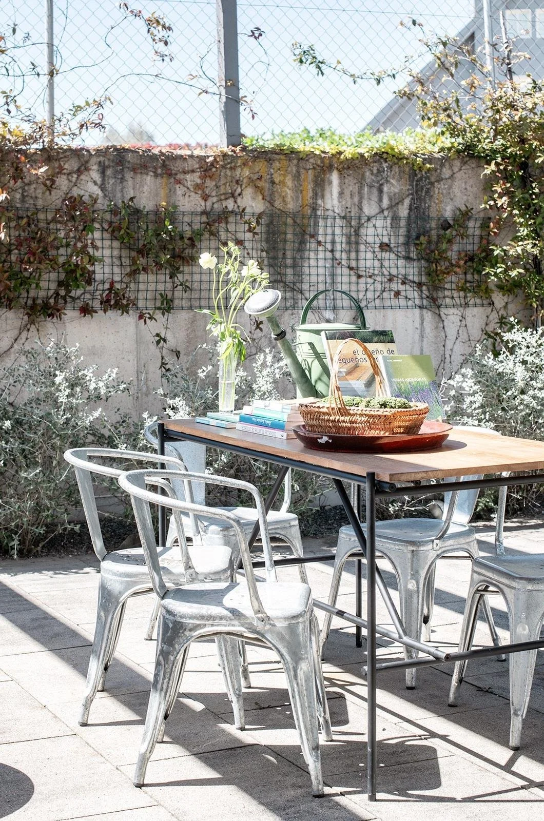 PHOTO-2026-04-02-11-44-07 3.jpg