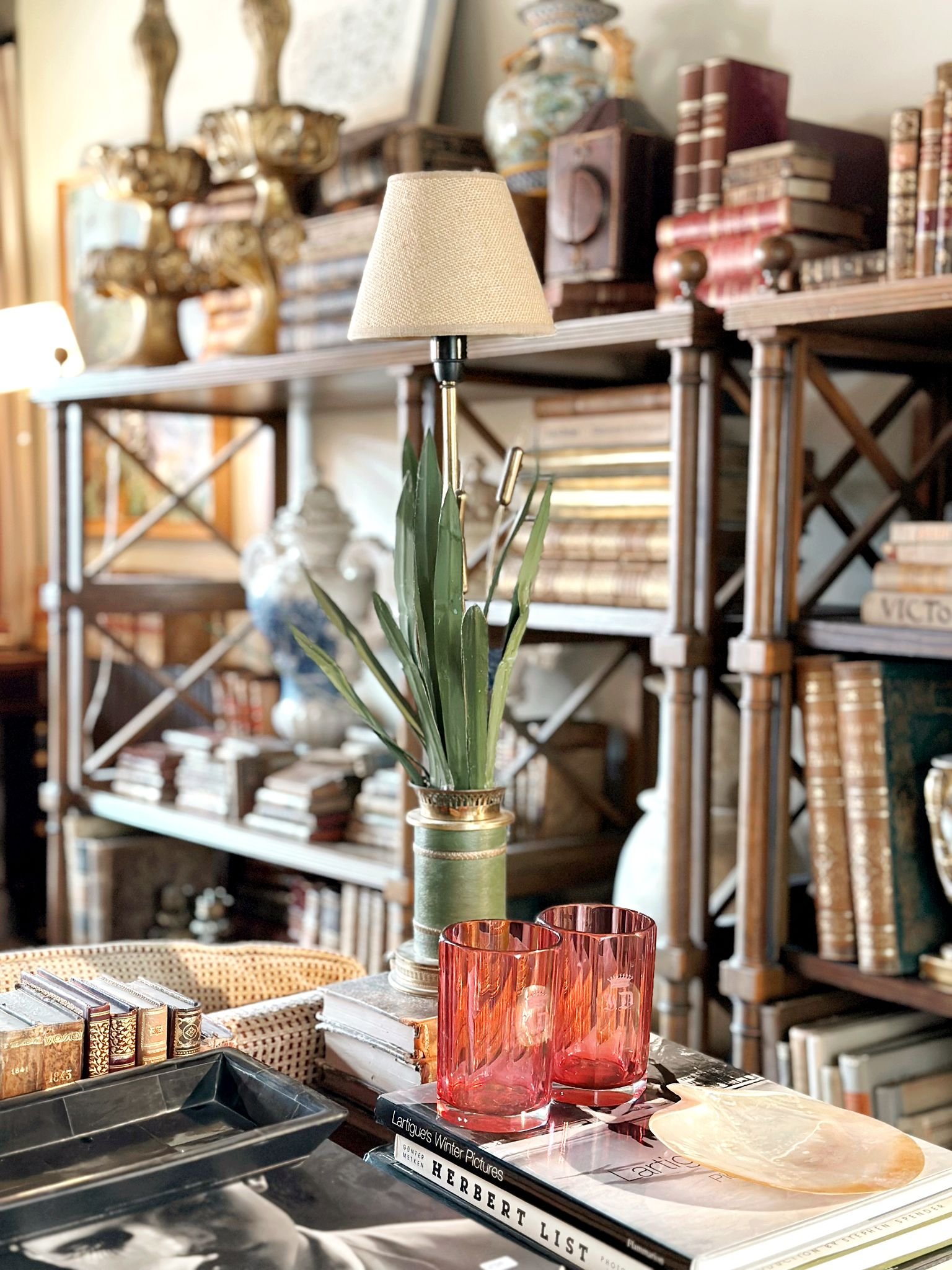 PHOTO-2026-02-16-23-19-32 10.jpg