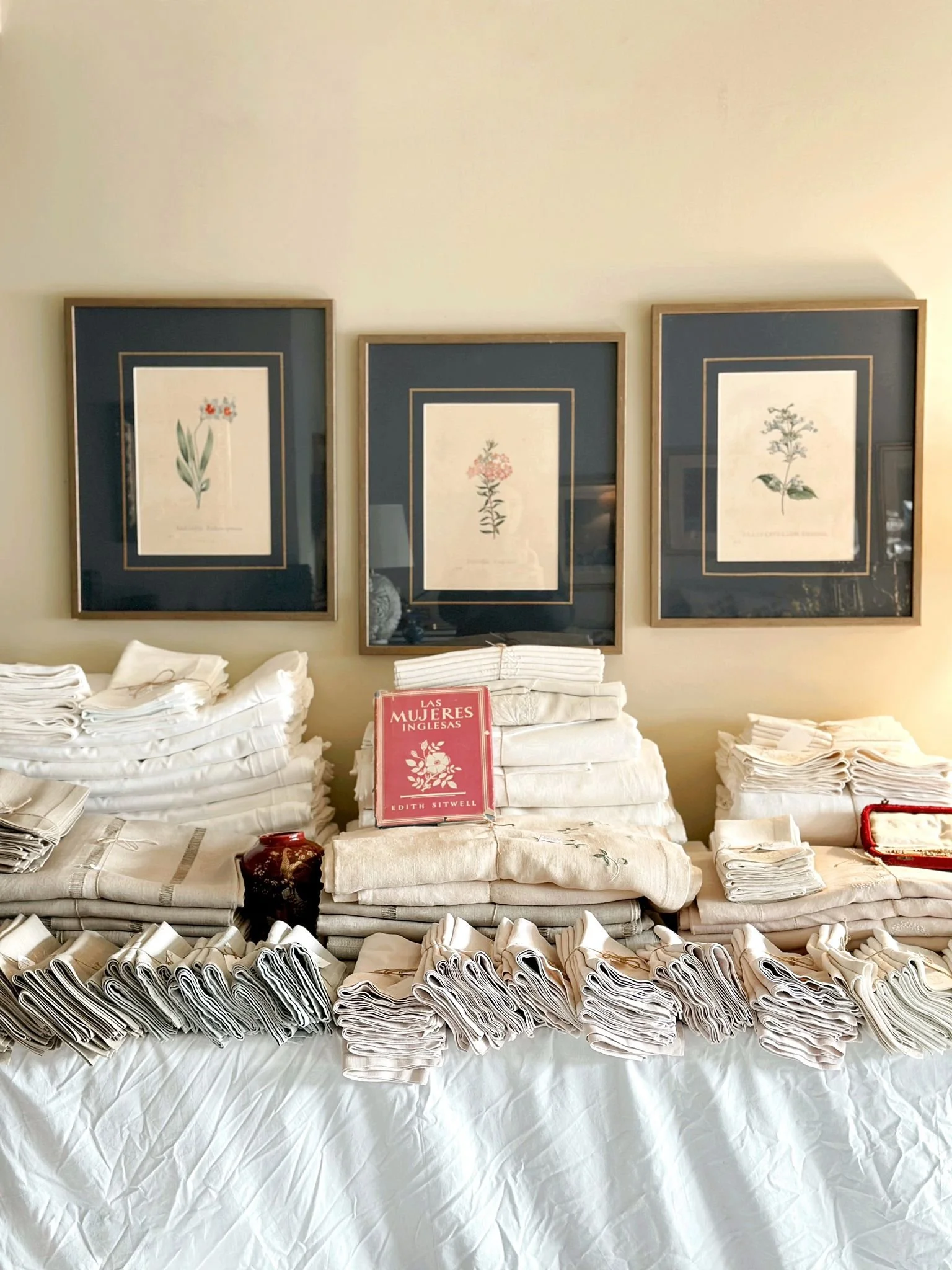 PHOTO-2026-02-16-23-19-35 10.jpg