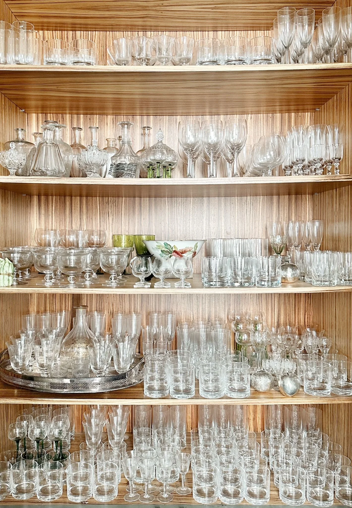 PHOTO-2026-02-16-23-19-33 2.jpg