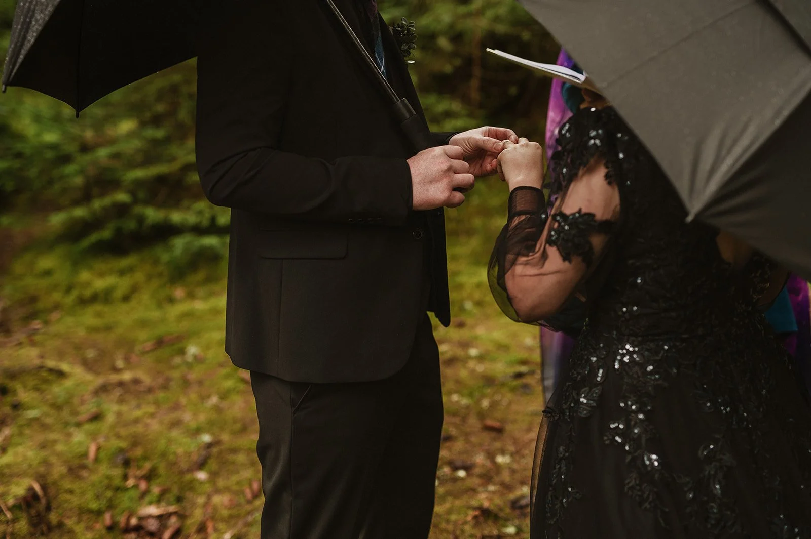 Gina + Calum-1058.jpg