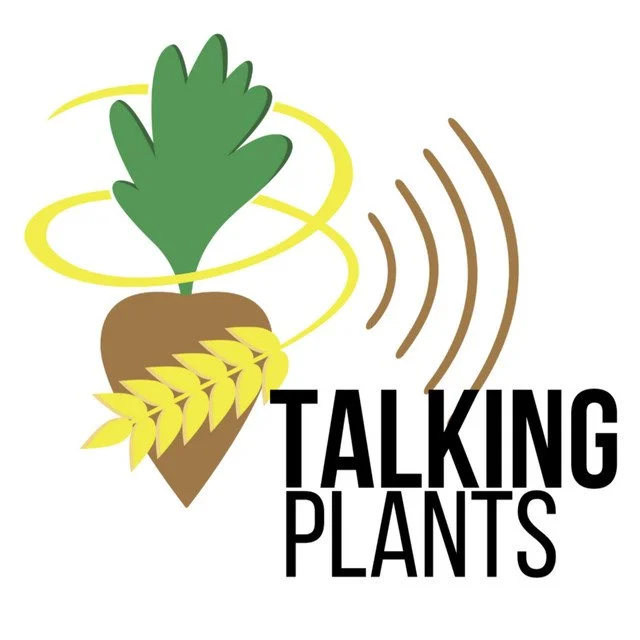 Podcast: Talking Plants with RWTH and Uni Göttingen 