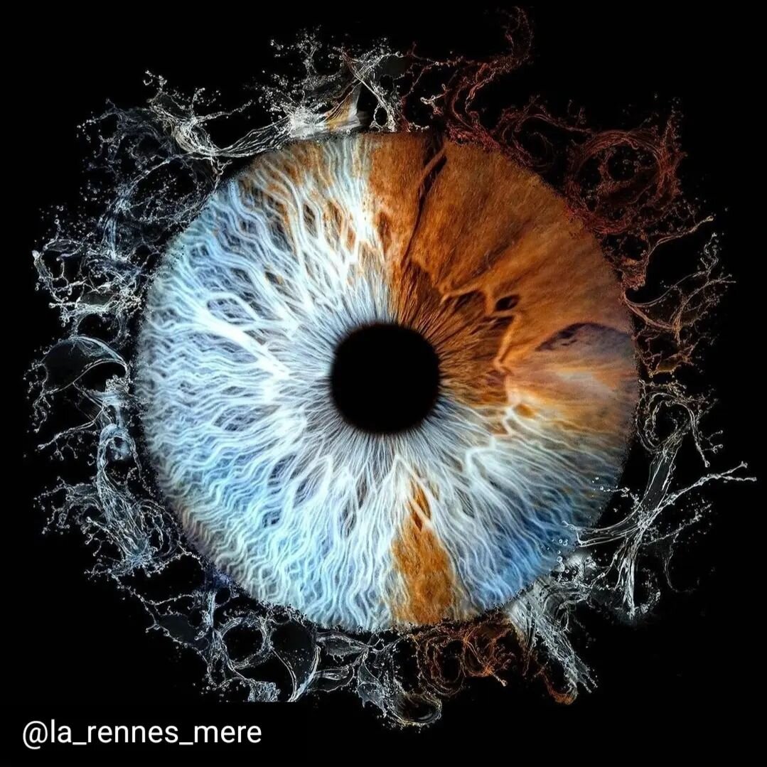 &Ccedil;ok sanatsal bir iris 👍
@la_rennes_mere 

#irisart 
#medicalart #artwork #ophthalmolgy #irisrenkleri #iriscolors