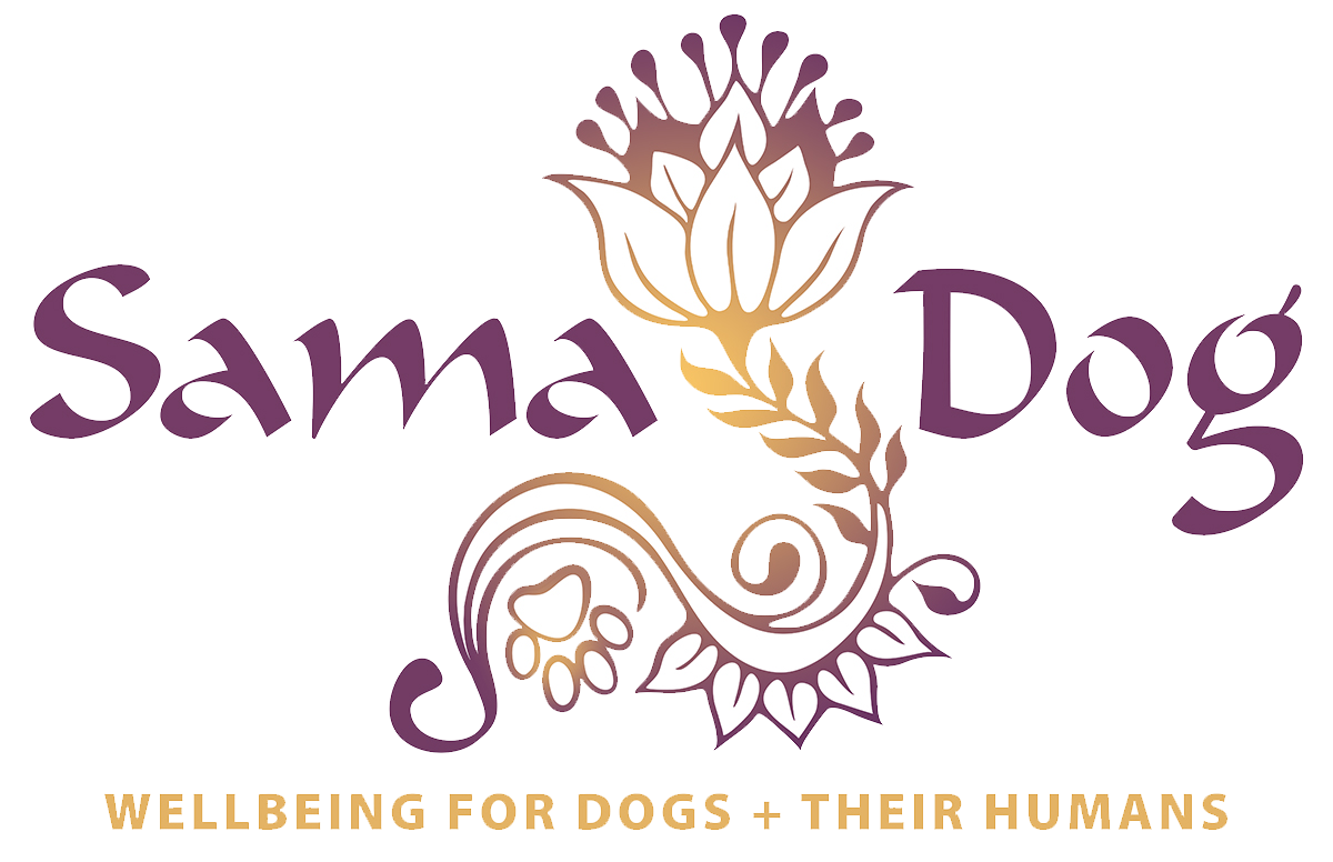Sama Dog :: Holistic Living with Dogs