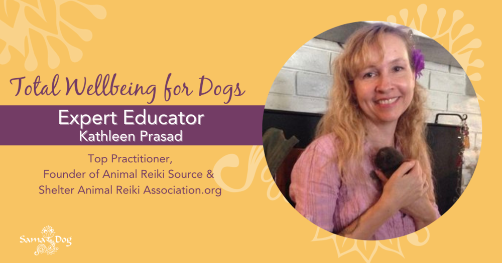 Reiki, Compassion, and Emotional Understanding with Kathleen Prasad — Sama  Dog :: Holistic Living with Dogs