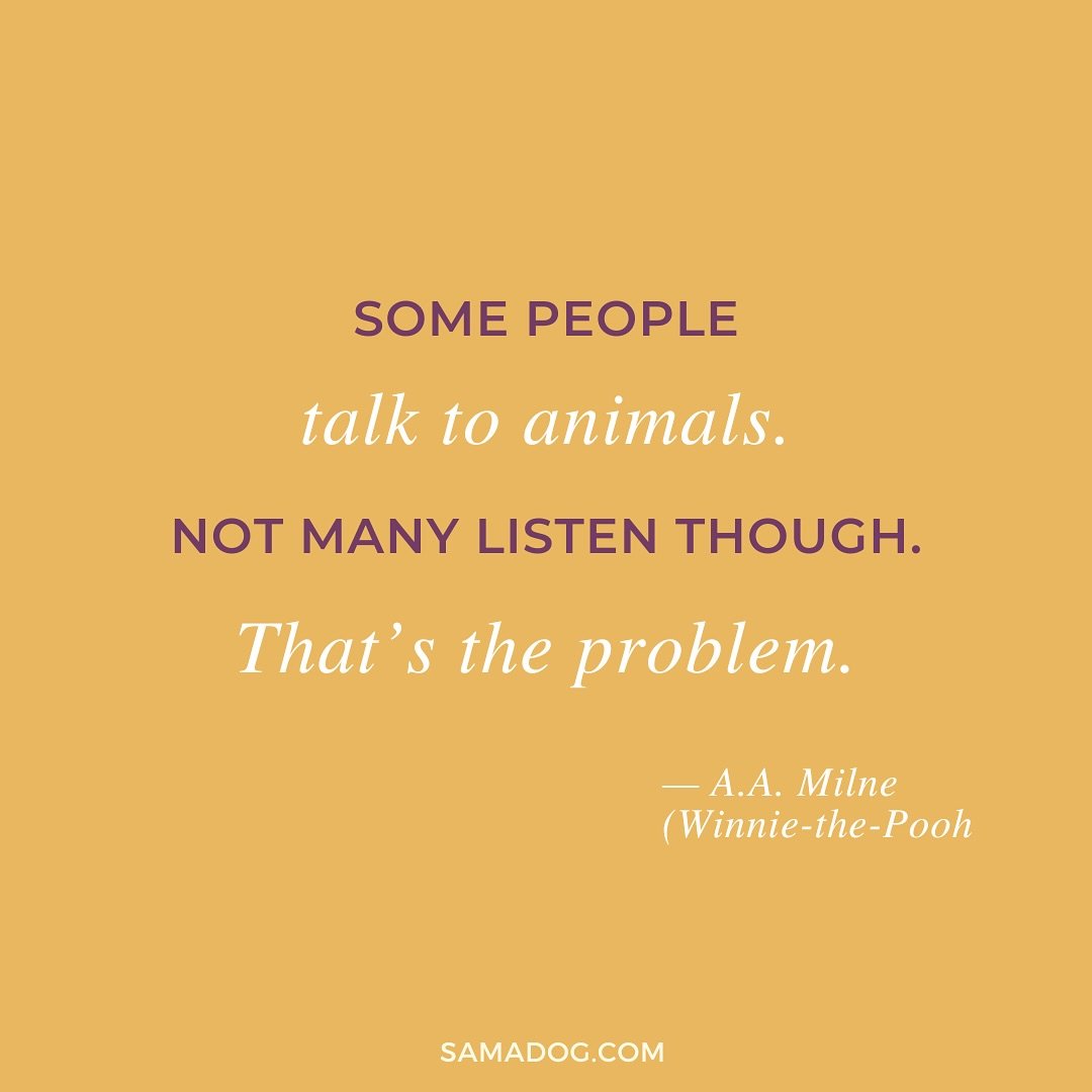 In the wise words of Winnie-the-Pooh..... 🧡