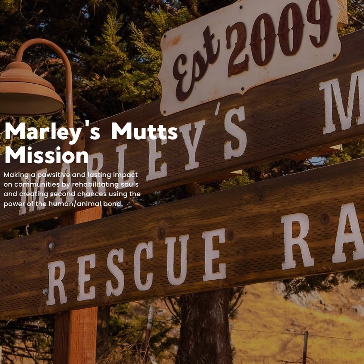 Are you familiar with @marleysmutts rescue? My friend Dana @ogdanag is spearheading a fundraiser for the incredible group, and she shared this message with me. Our contributions will be put to amazing use. Please join us in donating, if you&rsquo;re 