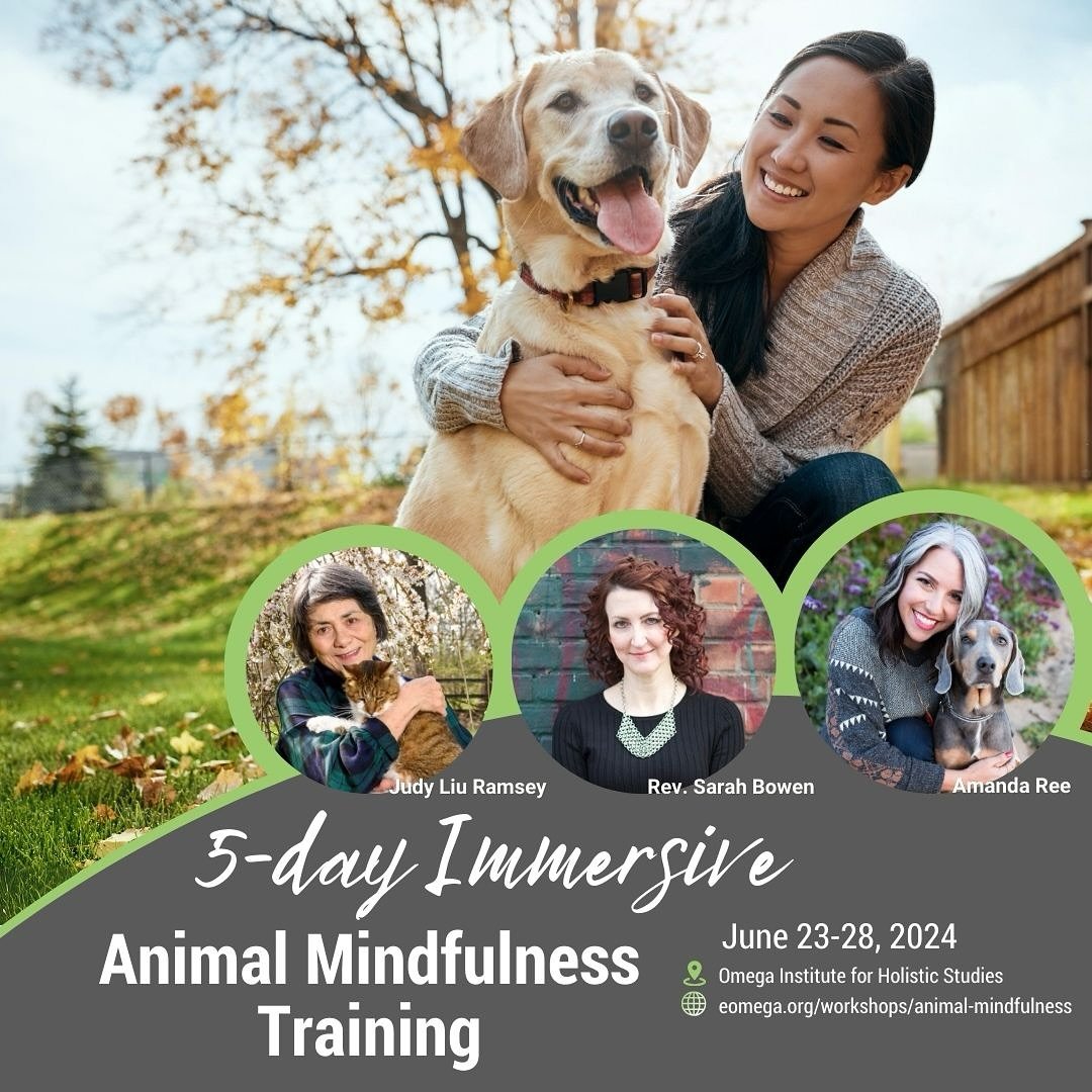 🐾 Last Call for Animal Mindfulness Training! 🐾 There is still time to join me, Rev Sarah Bowen, and Judy Ramsey at the Omega Institute for Holistic Studies in Rhinebeck, NY, from June 23rd to June 28th, 2024.

This 5-day retreat is your chance to:
