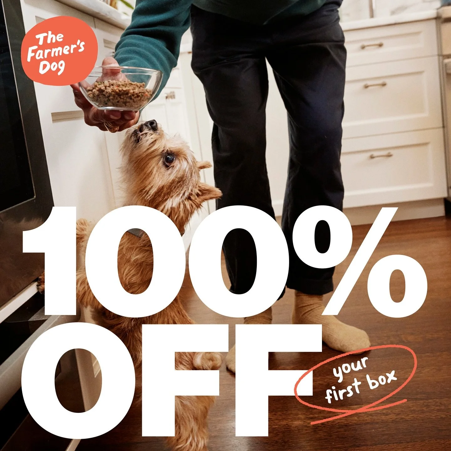 Healthy pups start with real, fresh food- and this weekend is the perfect time to make this meal-tastic switch. 🐶✨ 

We started feeding @thefarmersdog two years ago, and we saw significant improvement in their overall health &amp; appearance. People