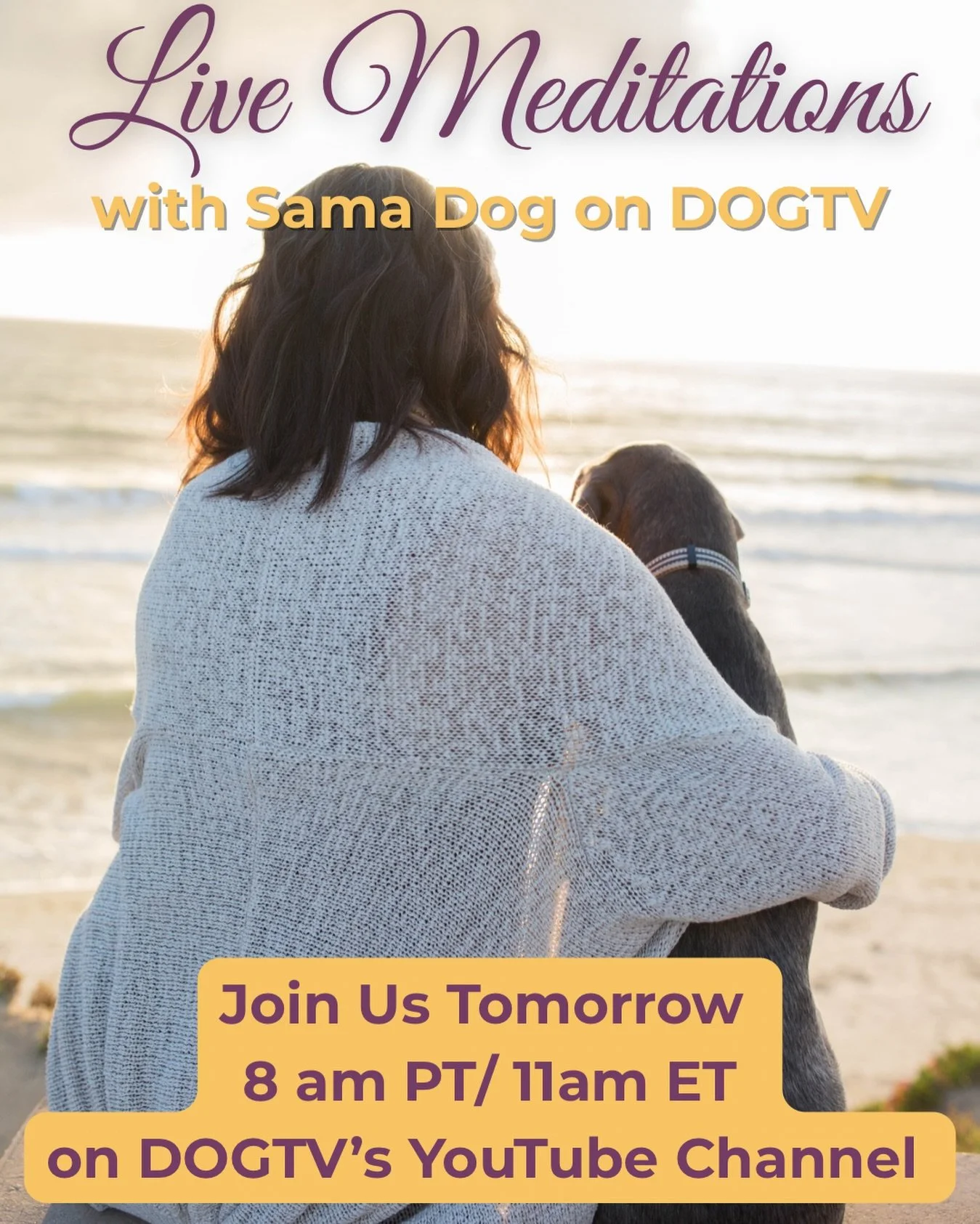 Our pups remind us what calm really looks like. 💛🐾
Join us tomorrow for a gentle, grounding meditation to start your weekend with ease.

✨ 8am PT / 11am ET on @dogtv YouTube channel

#samadog #dogtv #youtube livemeditation mindfulmoments
