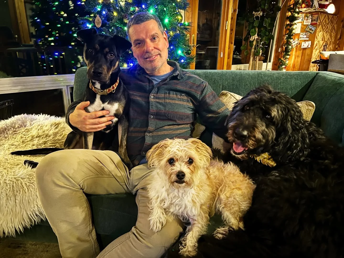 We send our warmest holiday wishes to each of you - 2 &amp; 4 legged 🎄🐾👣 May this season be a gift of treasured moments with those you love most 🎁

Counting our blessings today, with these 4 at the top of my list. 🥰

Looking back at Christmas-ev