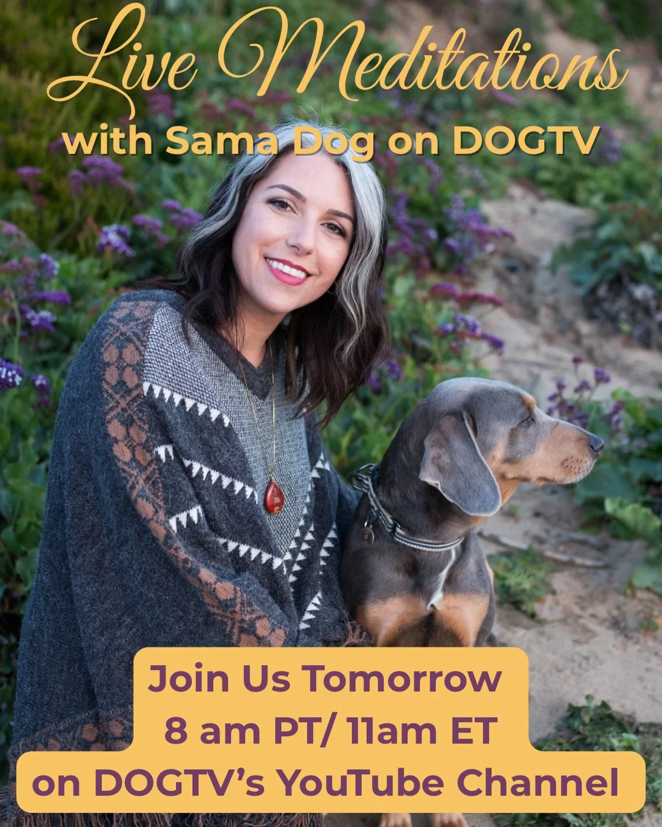 Noticing the quiet signals.
Holding space with calm and care. 🤎
Join us tomorrow for a live meditation and a peaceful moment with your dog.
⁠
Join us tomorrow for a gentle Mindful Moments meditation.⁠
⁠
✨ 8am PT / 11am ET on @dogtv YouTube channel⁠

