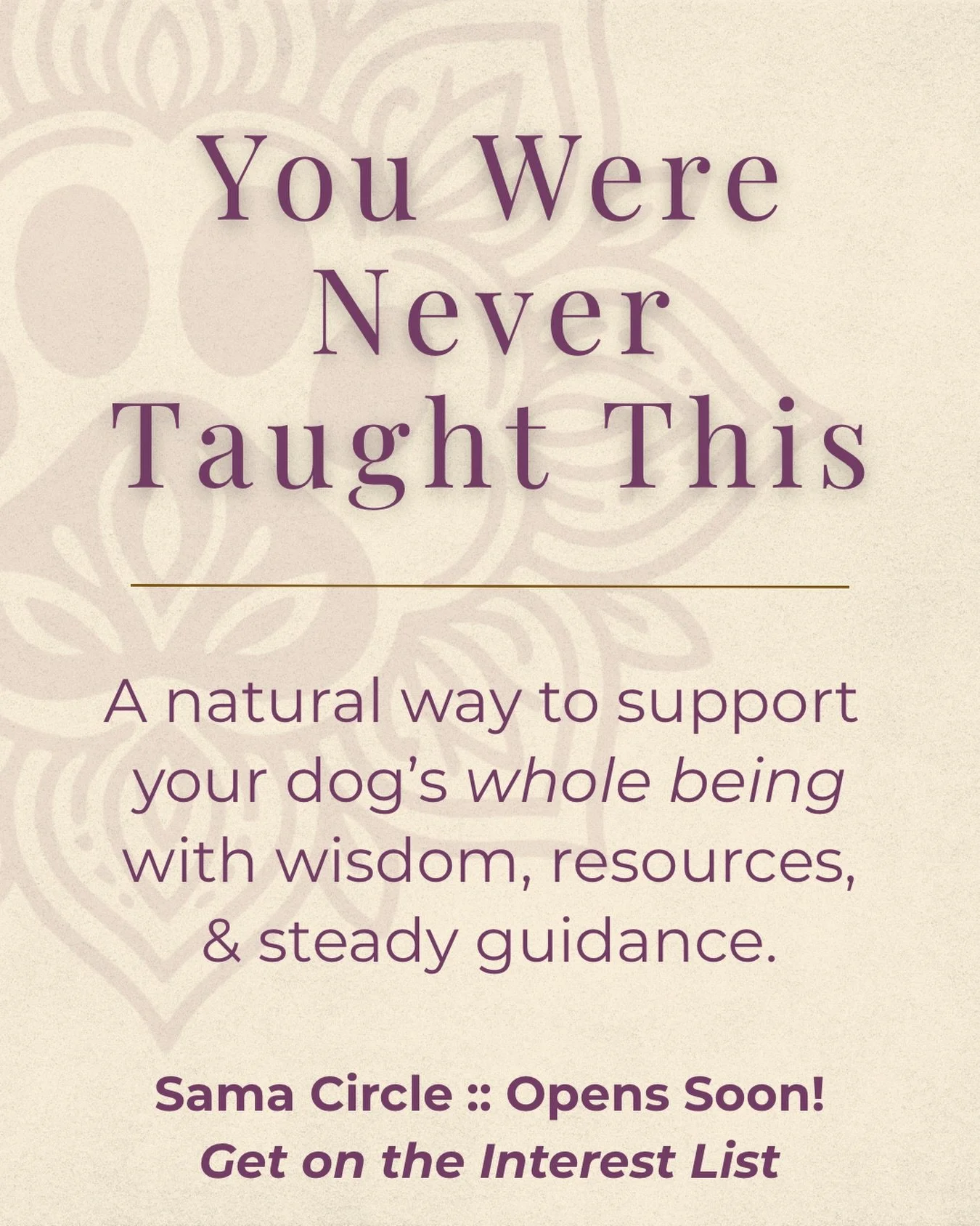 Most of us were never taught how to truly understand a dog&rsquo;s WHOLE being &mdash; physically, behaviorally, emotionally and even spiritually. 

Not just symptoms.
Not just meeting their basic needs. 
But prevention, natural care, emotional balan
