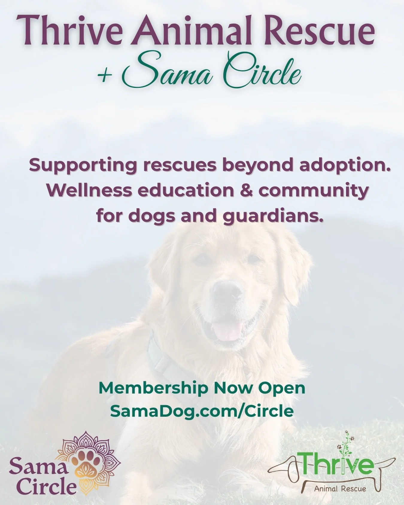 Adoption is only the beginning of a dog&rsquo;s journey in a new home. 🐶 Although a fabulous life together is hopeful, often times challenges can arise as they integrate from one phase of their life to another. 

We&rsquo;re grateful and excited to 