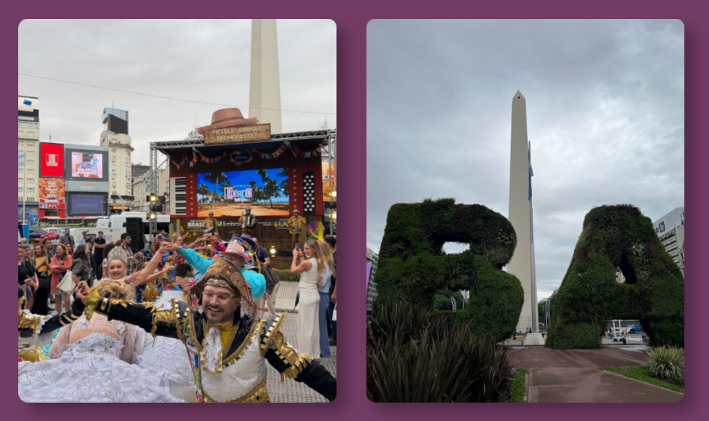 The Calmest Dogs I’ve Ever Seen