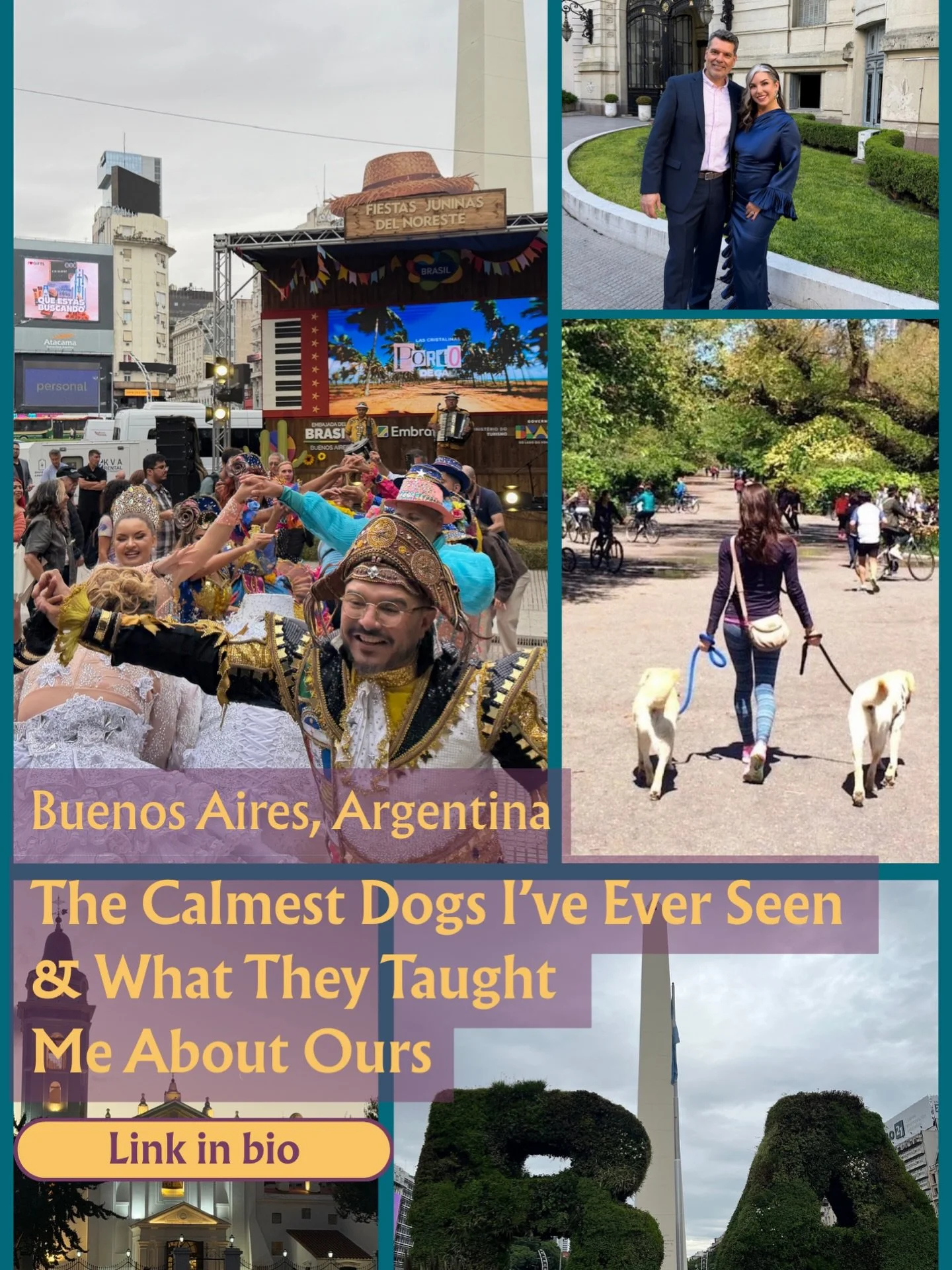 Have you ever wondered how you could help your dog be more at ease? How to experience more simpatico with your furry friend? 🐾

Actually, it not a training problem. Not a breed problem. It may very well be a connection problem.

I&rsquo;ve been sitt