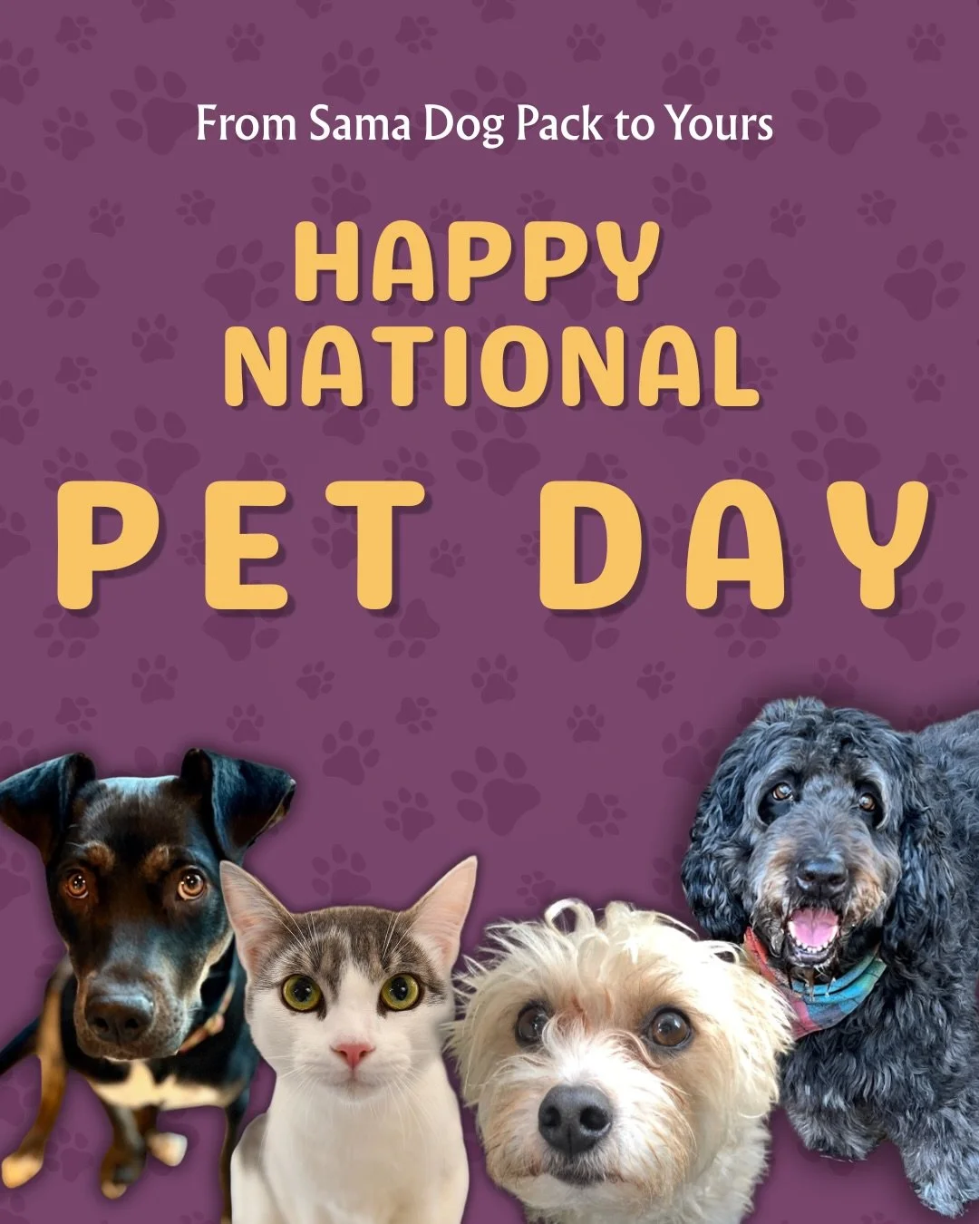 National Pet Day isn&rsquo;t just a celebration, it&rsquo;s a reminder. 🐶✨ 

Our pets don&rsquo;t just share our homes, they share our energy, our moods, our hearts and our life&rsquo;s journey. When they thrive, we thrive. When we find balance, so 
