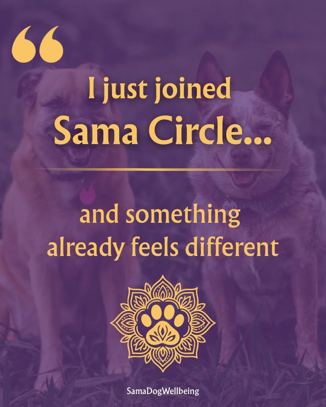 There&rsquo;s something we&rsquo;ve been noticing inside Sama Circle&hellip;

It&rsquo;s not just what people are learning
(it&rsquo;s a lot, and it&rsquo;s meaningful)

It&rsquo;s how quickly things start to shift

A little more calm
A little more u