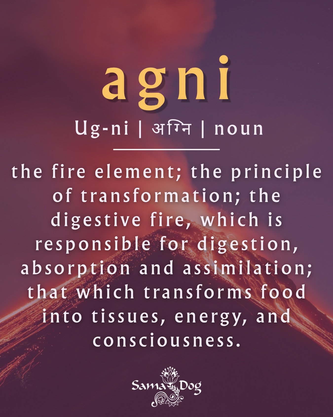 Agni -the inner fire of transformation.🔥

Where nourishment becomes energy, and energy becomes life.

#AyurvedaForDogs
#HolisticDogCare
#DogWellness
#NaturalDogHealth
#SamaDog