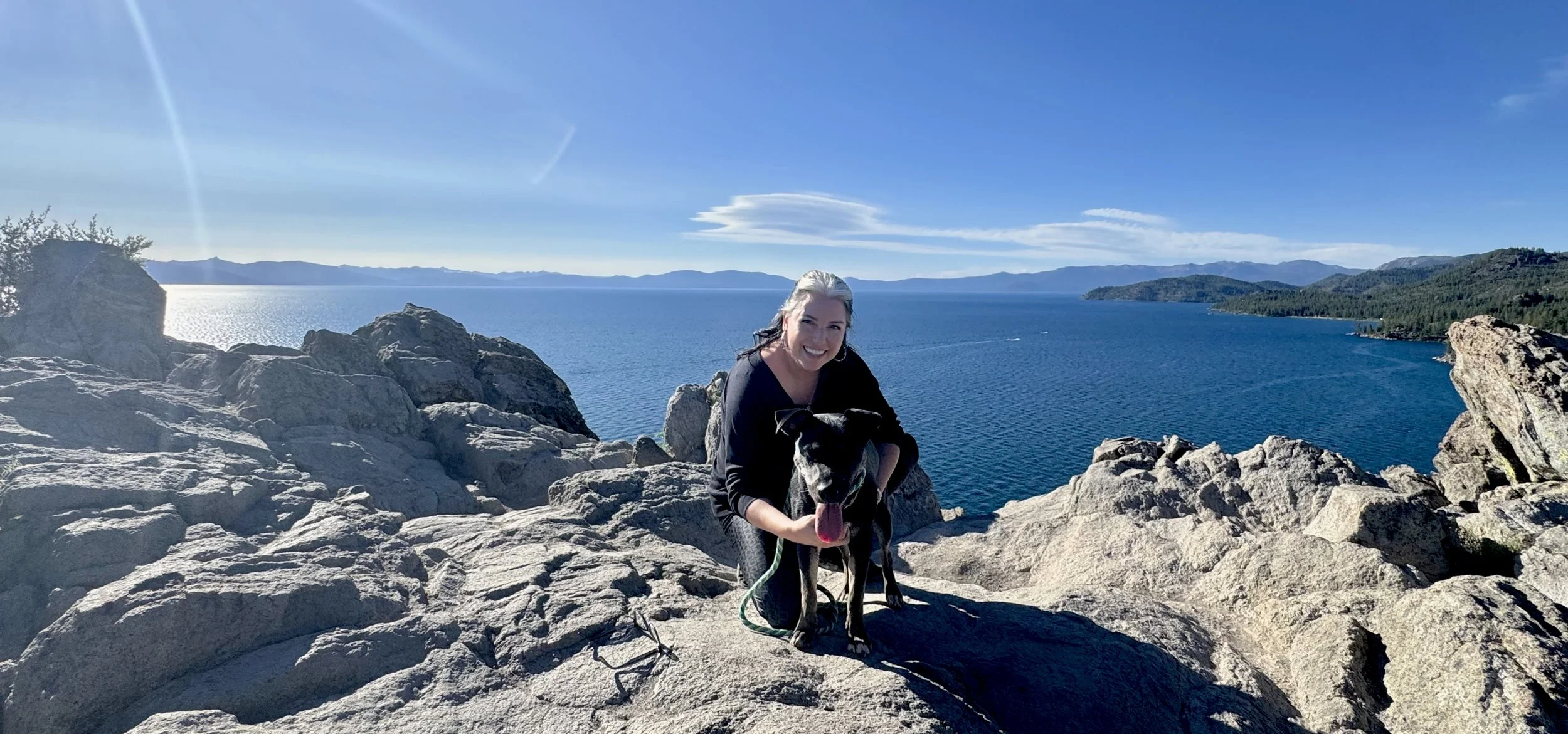 The Adventurous Canine Spirit
