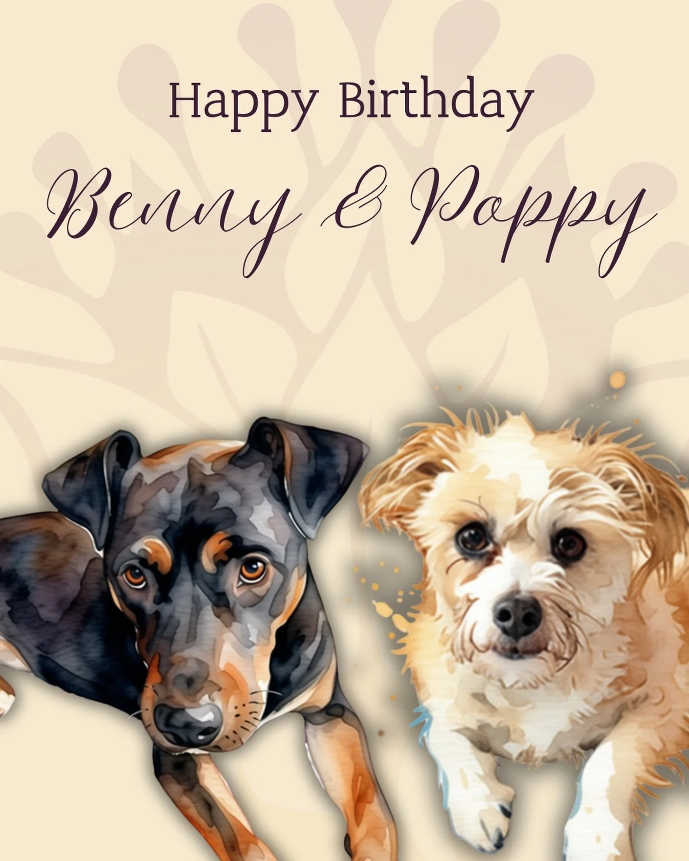 Today we celebrate TWO birthdays in our house! 🐶🐶 Our sweet Benny is 13 years old today, and our baby girl Poppy is 2yo.

Thirteen years with Benny. He has been beside me through such a huge part of my life, this adorable, funny, feisty little boy 